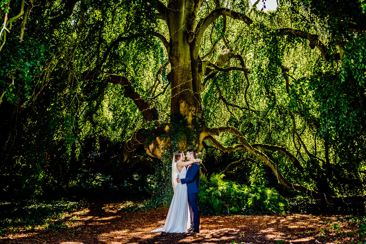 A portrait of a bride and groom under a tree on a summers day at Bellinter House