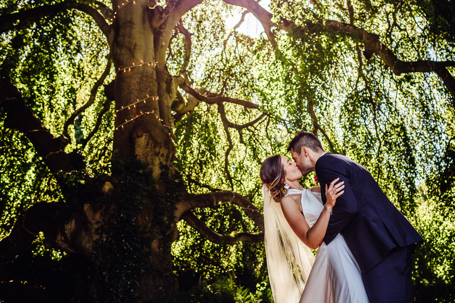 A portrait of a bride and groom under a tree on a summers day at Bellinter House